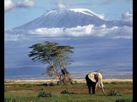 Video: 8 sự thật thú vị về Kilimanjaro