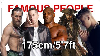 Famous People By Their Height 175Cm57Ft