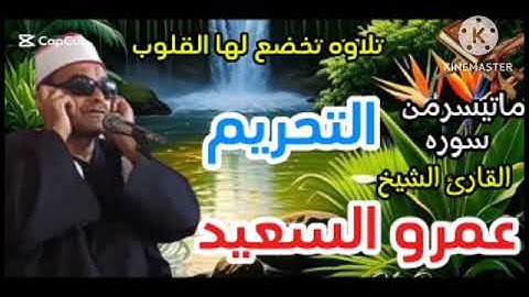الشيخ عمرو السعيد ماتيسرمن سوره التحريم