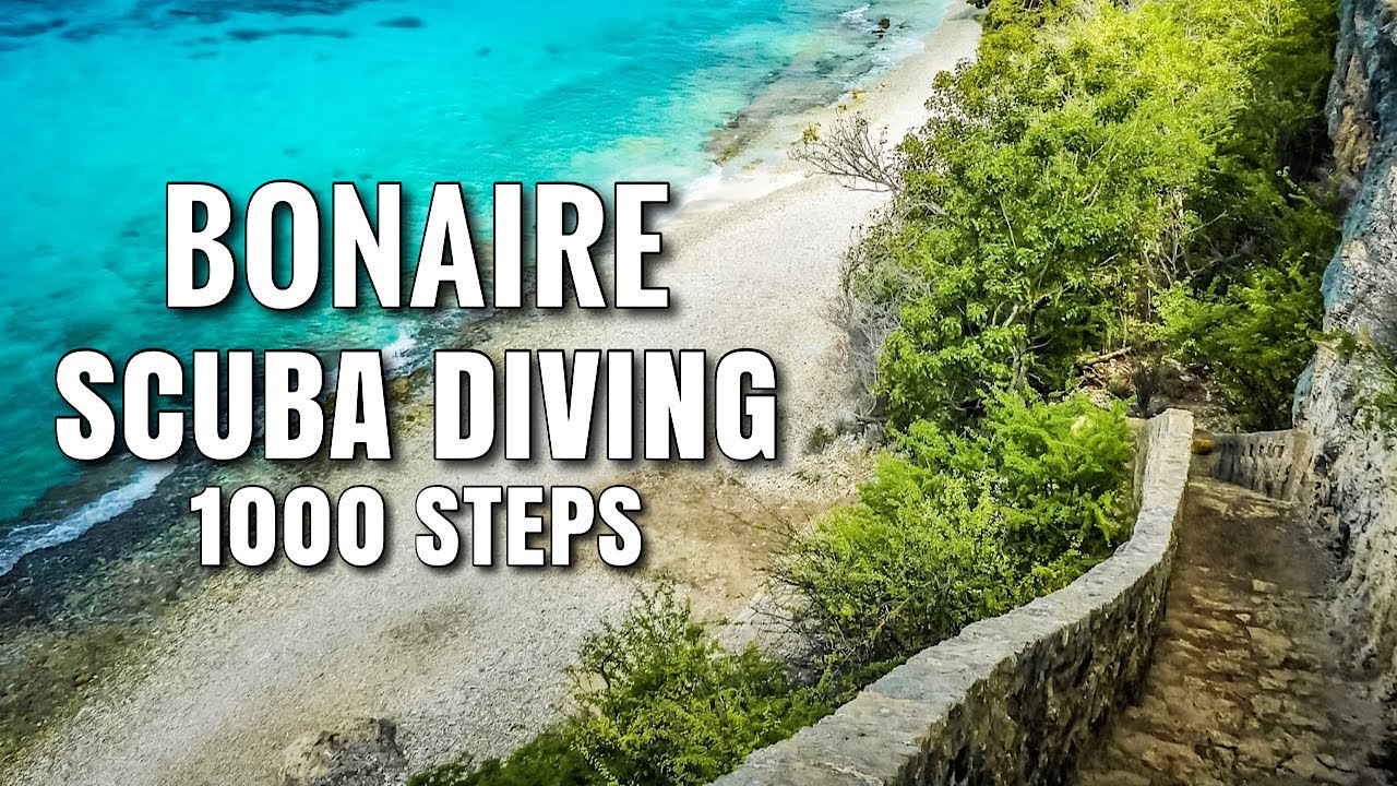 Scuba Diving BONAIRE 1000 Steps YouTube Scuba Diving BONAIRE 1000 Steps YouTube