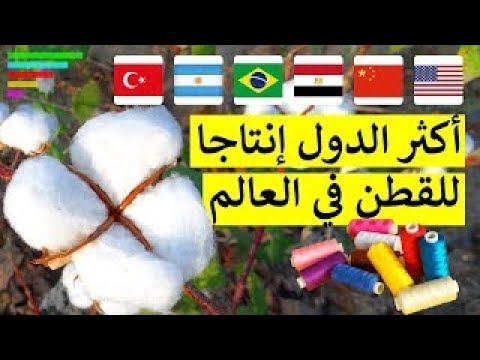 اكبر عشر دول منتجة للقطن في العالم معلومات متنوعة