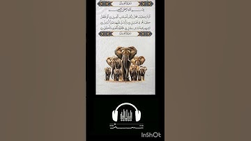 سورة الفيل Al-Fīl is the 105th chapter of the Quran. It is a Meccan sura consisting of 5 verses. The