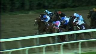 1990 Breeders' Cup Classic