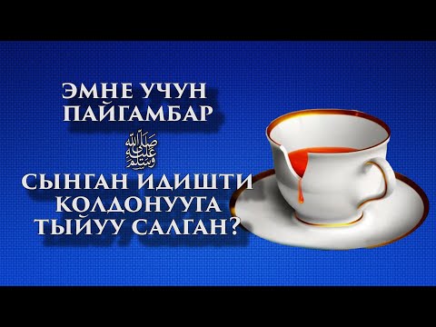 Video: Ургаачы ит тукум улоого даяр экенин кантип билсе болот