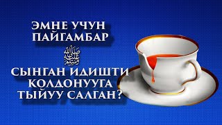 Эмнеге пайгамбарыбыз ﷺ чекеси сынган идишти колдонууга тыйу салган? // хадис // масала