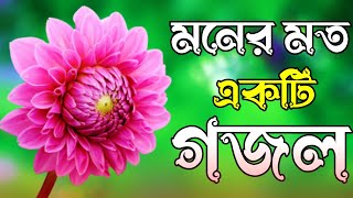 মনের মতন একটি গজল।Gojol, Bangla gojol, gojol, Islamic gojol, new gojol, ghazal, gojol 2024 gojol