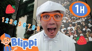 tennis ball chase blippi explores wimbledon jobs