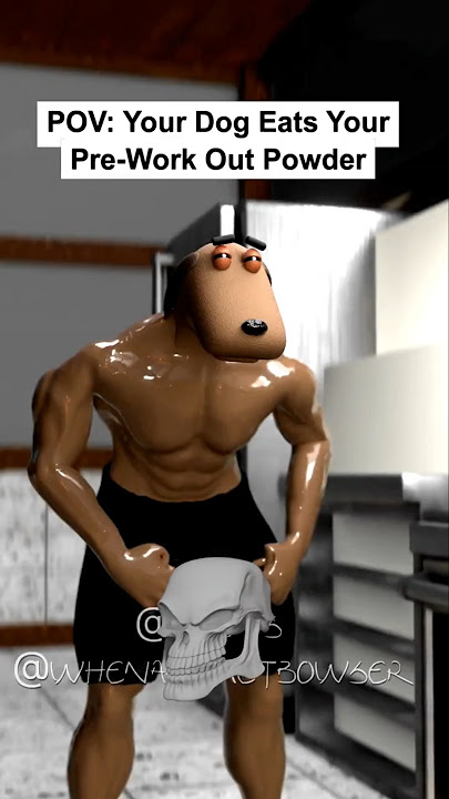 POV: Your Dog Eats Your Pre Work Out Powder