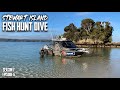 Hunting new zealands most elusive deer s7 ep6 stewart islandrakiura part 2