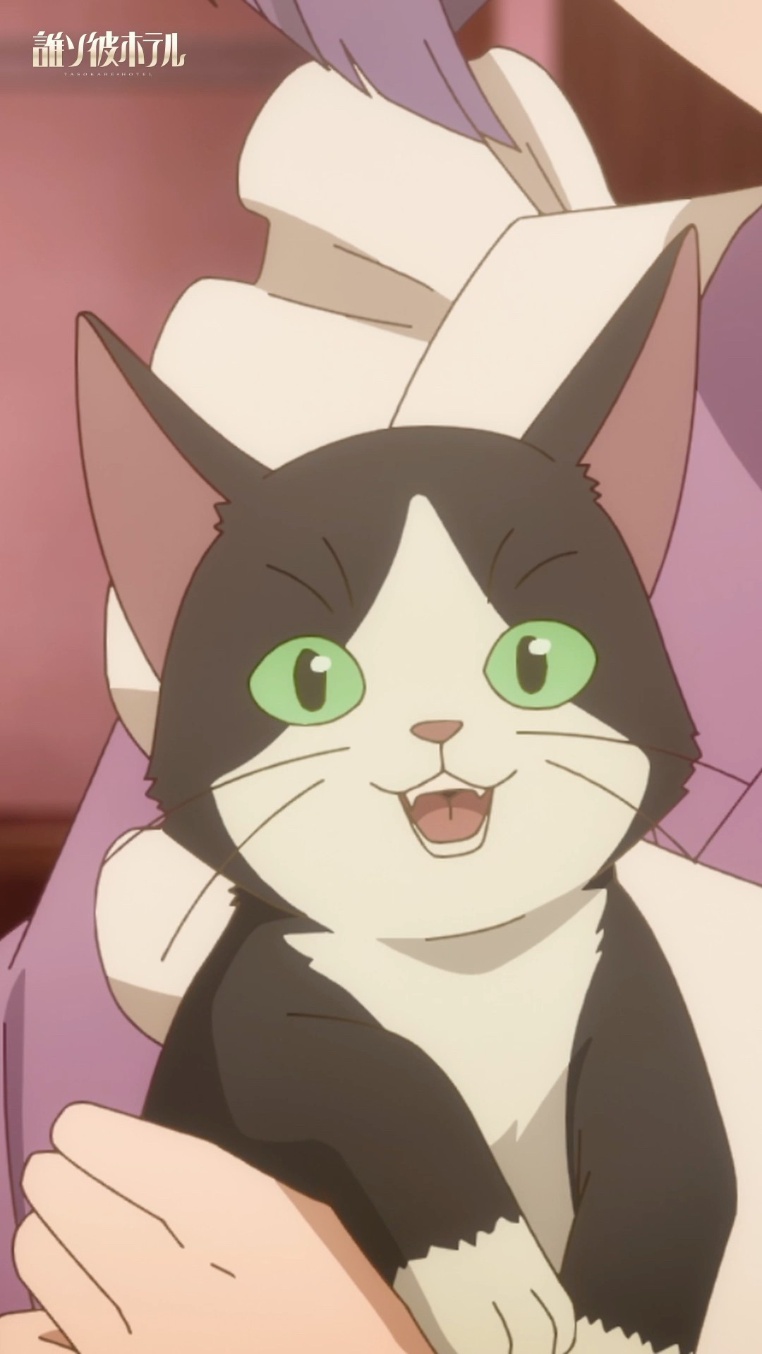 おや、塚原音子さんと猫が一緒にいる、あはは…』TVアニメ【誰ソ彼