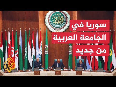 سامح شكري: لا حل عسكريا للأزمة السورية
