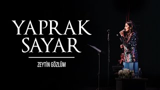 Zeytin Gözlüm (Canlı) - Yaprak Sayar Resimi