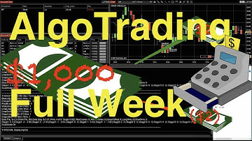 Full Week Algo Trading Bot Results with TD Ameritrade and NinjaTrader