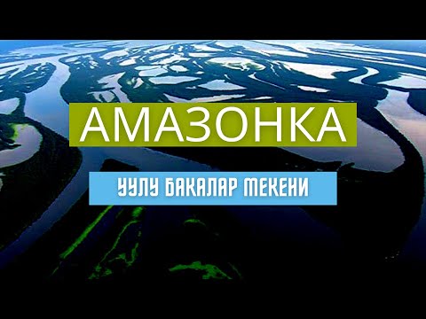 Video: Амазонка дарыясы дүйнөдөгү эң терең дарыя