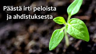 🌱 Terapeuttinen meditaatio - Peloista ja ahdistuksesta kärsiville