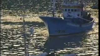Pesca de Bocarte Lastres 1993