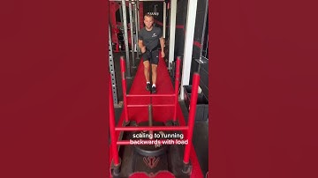 The Best Exercise for Reducing Knee Pain? Backwards Sled- Knees over Toes