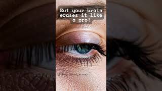 You Blinked Without Knowing It! 🤯 #shorts #trendingshorts #trending #brainfacts #weirdfacts