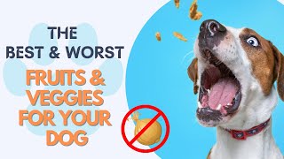 Learn the Best Fruits & Vegetables for your Dog! MUST KNOW!