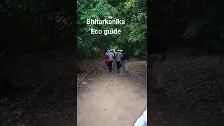 Baba Lokenath Travels Eco Guide Bhitarkanika Mangrove Forest Jungle