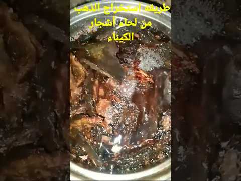 الذهب الخفي في اشجار الكيناء