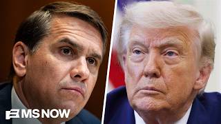 ‘Going to go 0-30': Elias reacts to DOJ already going 0-20 in cases to get voter rolls