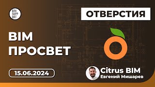 :   Revit.  Citrus BIM. :  . BIM  15.06.2024
