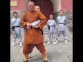 Self defense and chinese martial arts wing chun kungfu club