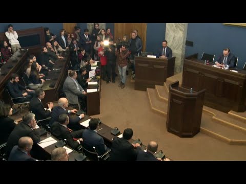 ირაკლი შოთაძის მოსმენა პარლამენტში - შეფასებები