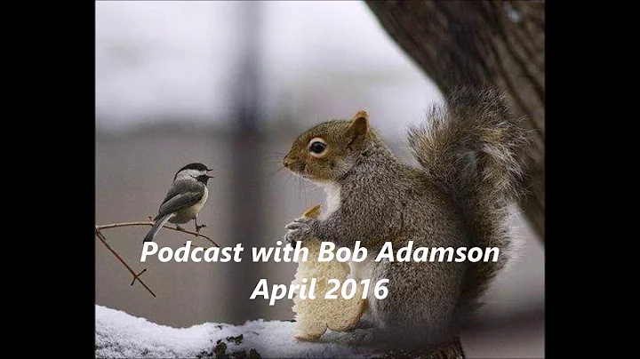 Bob Adamson Non-Duality Podcast 10 April 2014