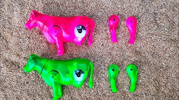 wadidaw !! Mencari Dan MERAKIT MAINAN SAPI, SAPI LUCU,SAPI M00,SAPI JOGET, SAPI KARTUN,SAPI PEDET.