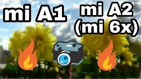 Mi A2(mi 6x) vs mi A1 camera comparison