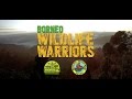 Borneo Wildlife Warriors | Official Trailer [4K] | SZtv