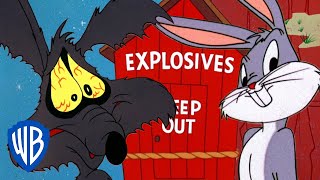 Looney Tunes | Coyote Vs Rabbit | WB Kids