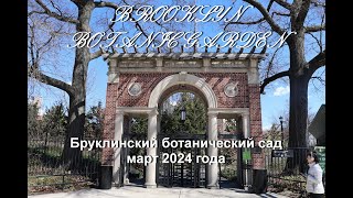 Бруклинский Ботанический Сад Март 2024