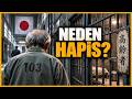 Japonya'da Yaşlılar Neden BİLEREK Hapse Giriyor?