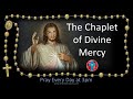 Pray the chaplet of divine mercy the 3 oclock prayer multilanguage cc subtitles