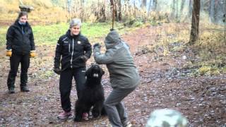 Finnkoshmar Fasonistaya Devitsa, Part2