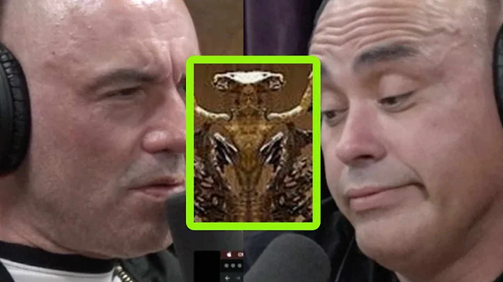 Eddie Bravo Exposes Luciferian Elements at Vatican