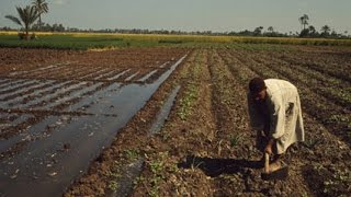 Río, Agricultura, Mesopotamia, Egipto, India y China