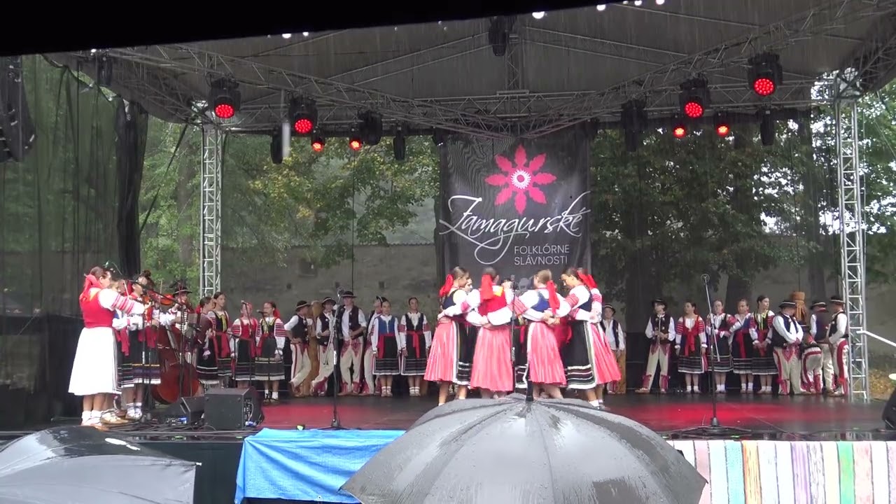 ZFS 2025 - PO NASEMU