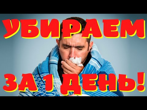 КАК ВЫЛЕЧИТЬ ПРОСТУДУ ЗА 1 ДЕНЬ? 100 РАБОТАЕТ!