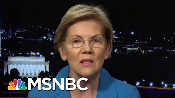 Senator Elizabeth Warren On President Donald Trump's Cruel Agenda | All In | MSNBC