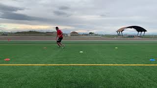 Agility Box Drill