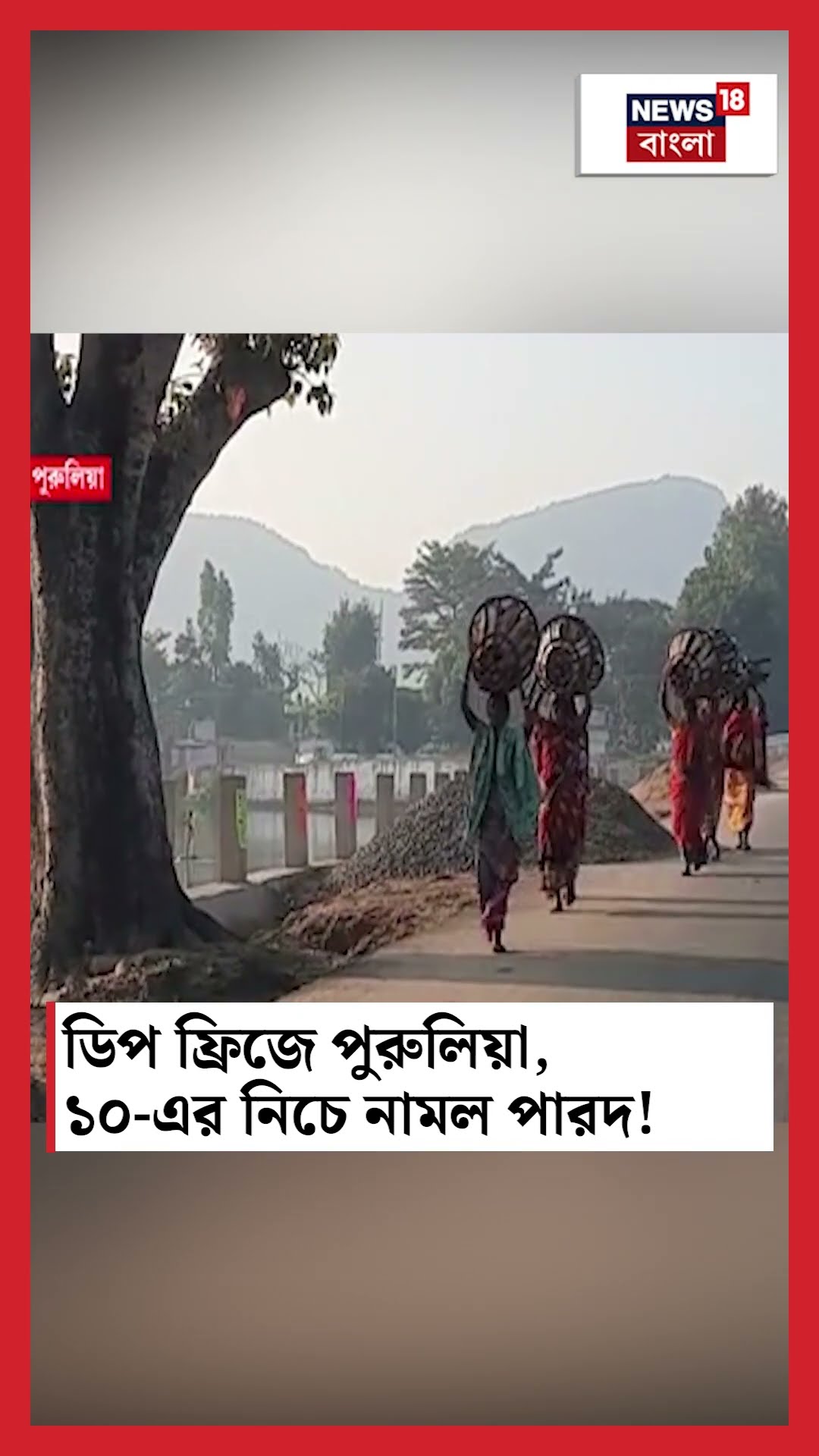 ডিপ ফ্রিজে Purulia, ১০ এর নিচে নামল পারদ! #shorts