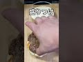 【早食い】スネ夫と早食い勝負してみた結果がやばかった！？