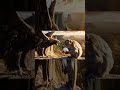 Eagle’s Sky Revenge 🦅 | When the Monkey Stole Her Egg 🐒 | Real Wildlife Drama