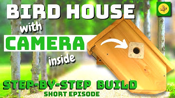 How To Build a BIRD HOUSE with a CAMERA Inside - SHORT EPISODE - Step-By-Step -