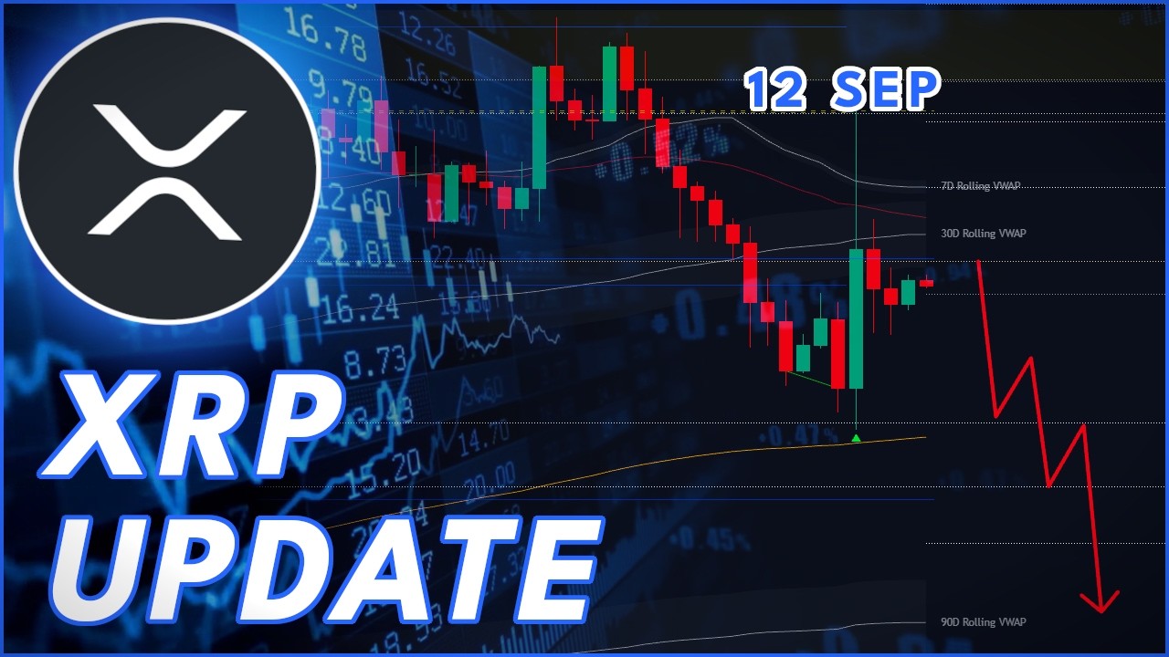 XRP WEEKEND UPDATE!🚨 (Ripple Price Prediction)