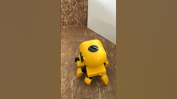 Tobbie the Robot is fun little robot to build yourself. Then get ready for hours of fun!